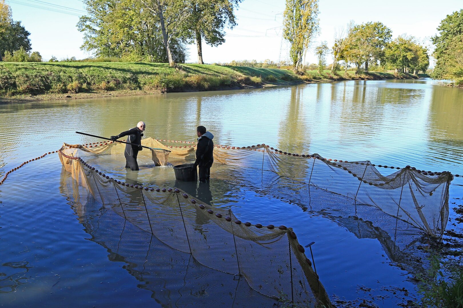 Etang de la Fortaie