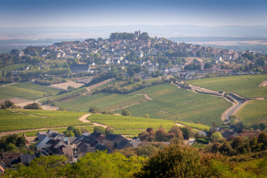Orchidees-chateau-Sancerre-Christophe-GAGNEUX_sancerre_vue_des_vignes
