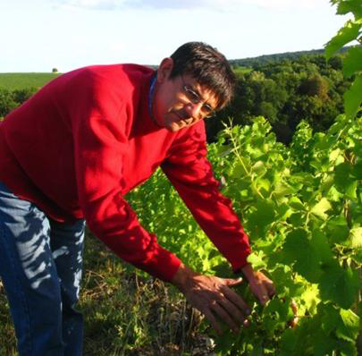 Domaine Vincent Grall