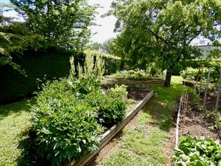 La-Veranda-jardin