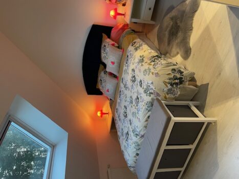 chambre bleu le Camelia dampierre en crot 